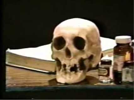 Scream-In Skull